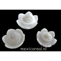Bloemen doosjes SET